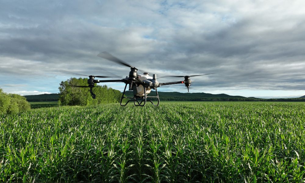 5 Advantages of DJI Sprayer Drones vs. Ground Rig Spraying