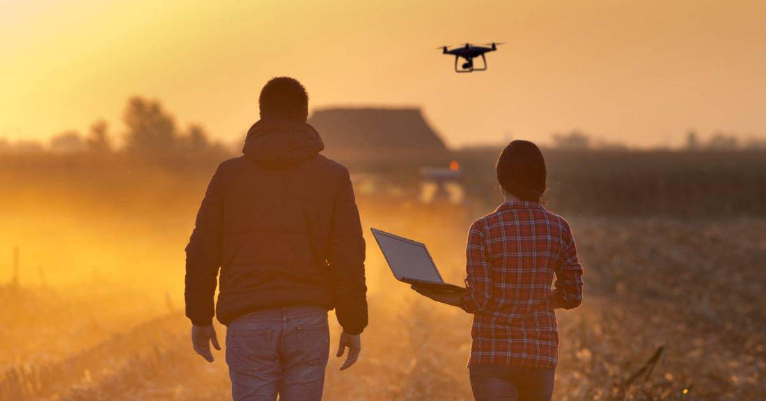 Two farmers, a man and a woman, walking along their fields during sunset, following their agricultural drone.