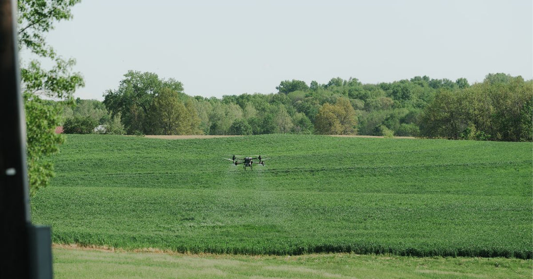 What You Should Know When Starting a Drone Spraying Business