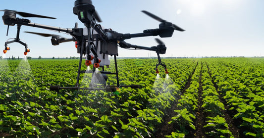 What Farmers Should Know About Inspecting Crops Using Drones