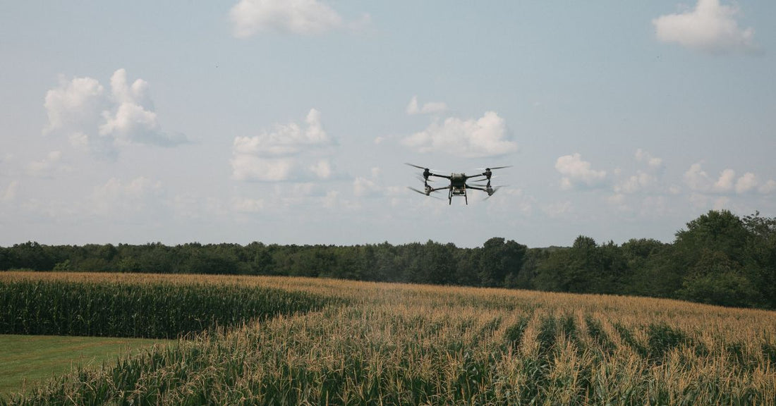 How Drones Can Help Reduce Water Usage in Farming