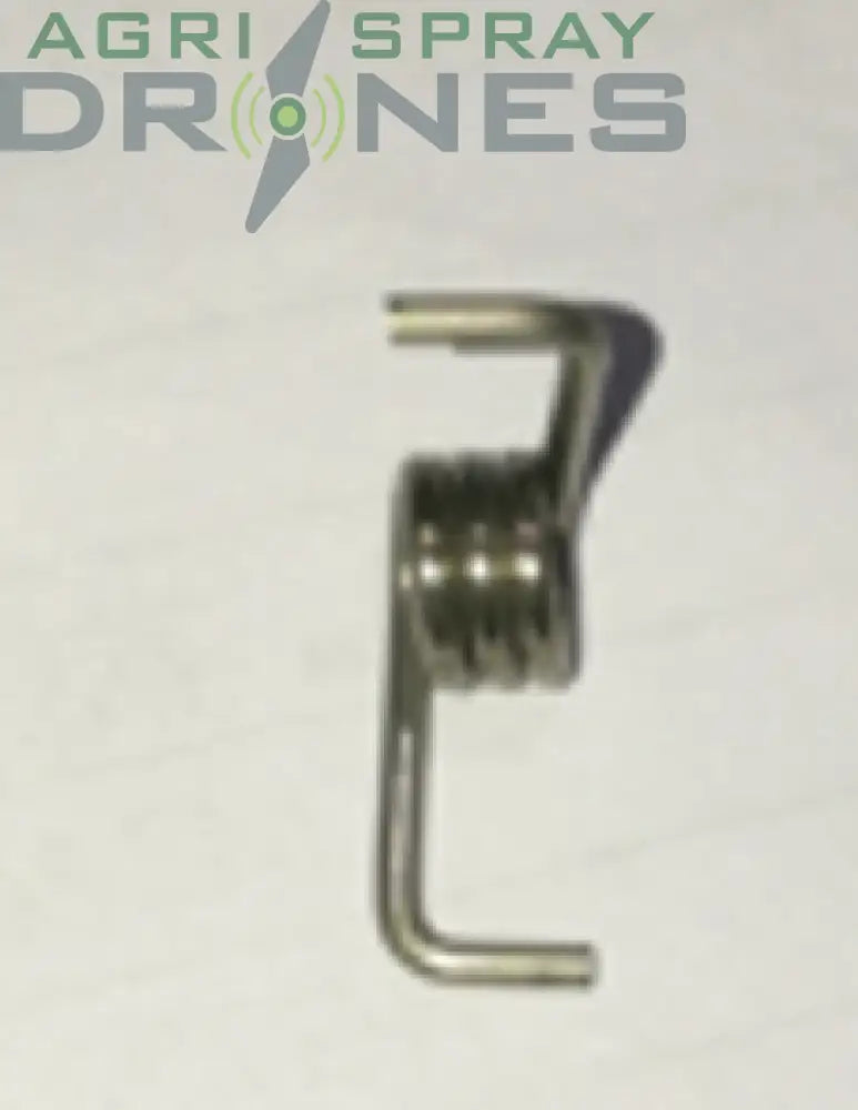 Buckle Torsion Spring