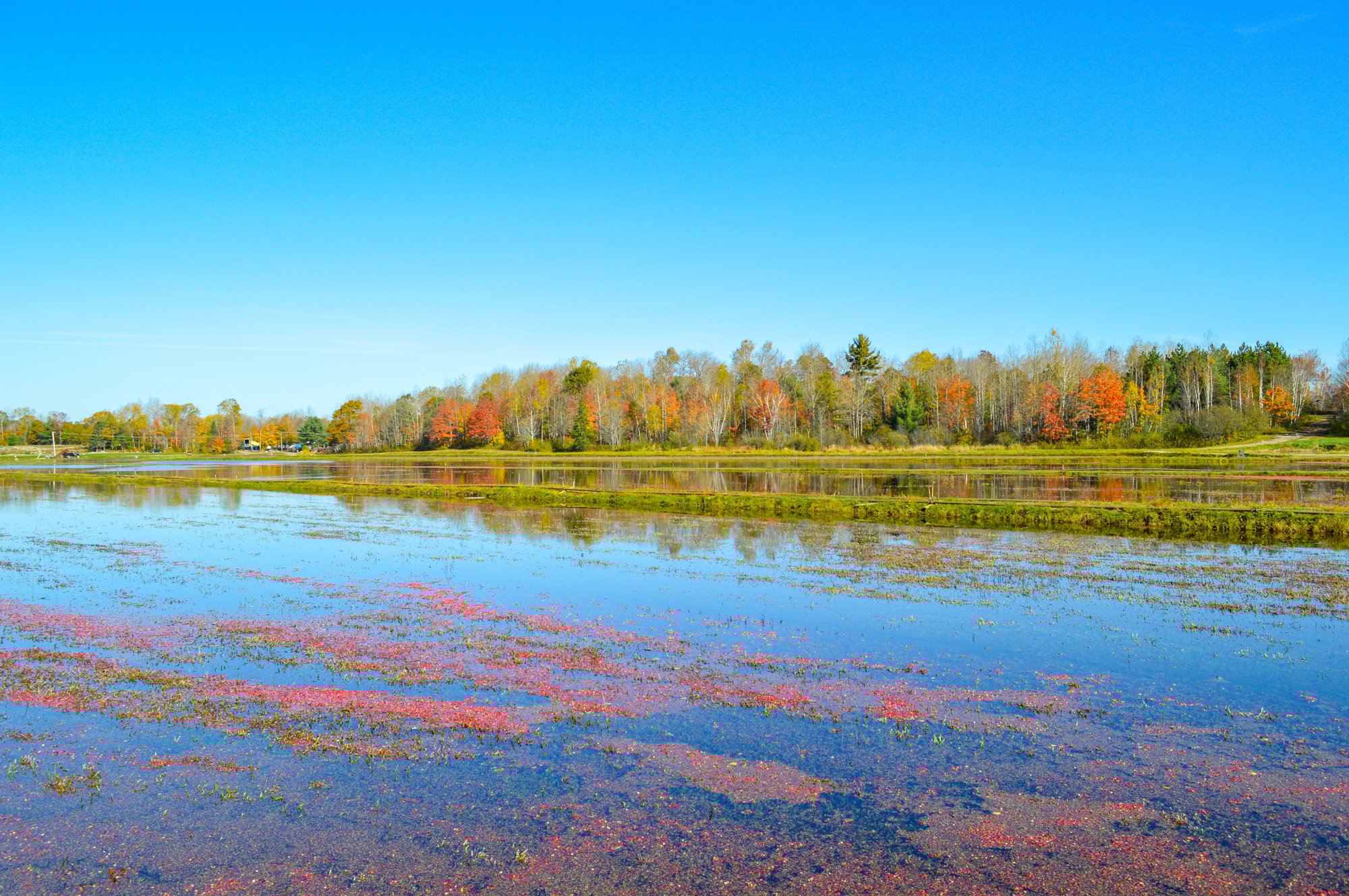 shutterstock_2350520797