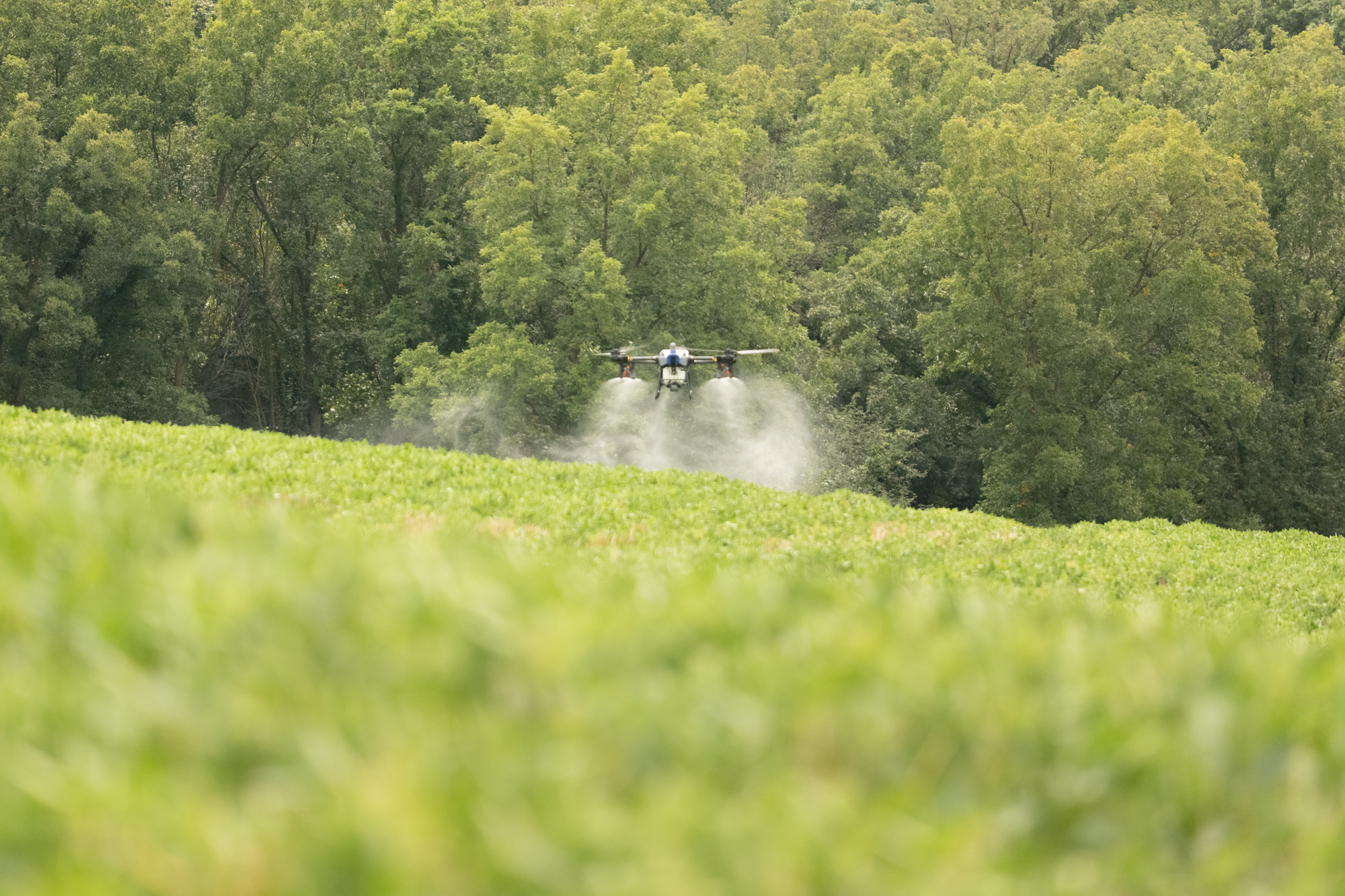 J150 soybean application